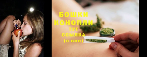 кокс Богородицк
