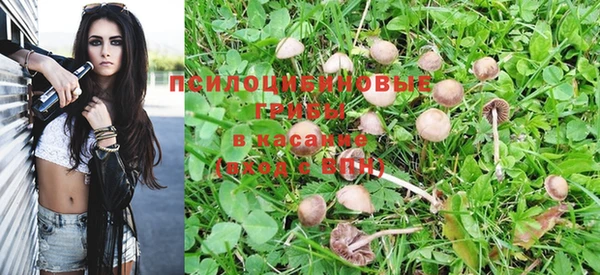 экстази Белокуриха