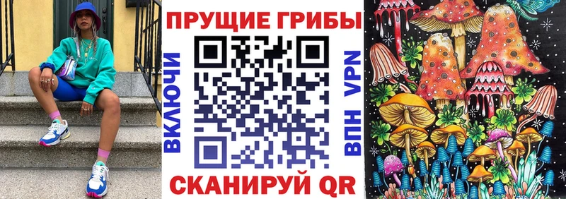 Галлюциногенные грибы мицелий  Волосово 